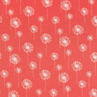 Coral Color