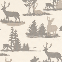 MOUNTAIN ANTLERS