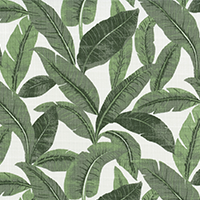 JUNGLE