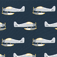 PLANES