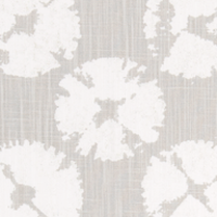 SAND DOLLAR