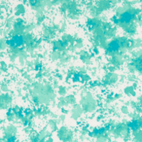 SHORE