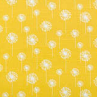 SMALL DANDELION