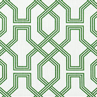 Ander Cool Green Slub Canvas