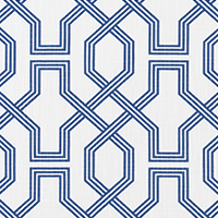 Ander Palace Slub Canvas
