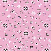 Bandana Prism Pink