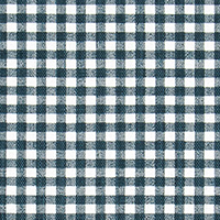 Gingham Moonlight Florence White