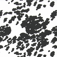 Hide Ink