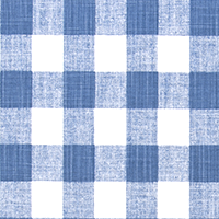 Buffalo Plaid Chill Slub Canvas