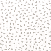 Ira Ecru Slub Canvas
