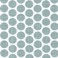 Paco Waterbury Slub Canvas
