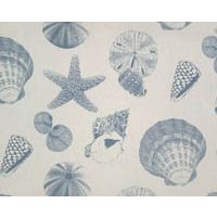 Shells Pacific/Natural