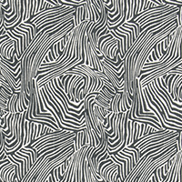 Icke	Graphite Slub Canvas