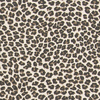 Leopard	Topaz