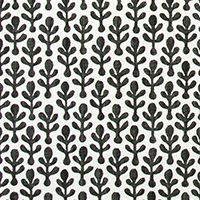 Noah Ink Florence White