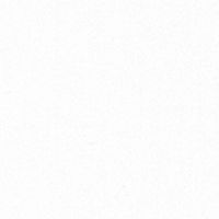 Unprinted Twill - White