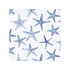 Starfish Palace Slub Canvas